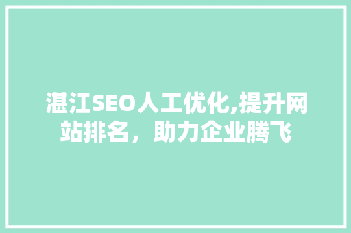 湛江SEO人工优化,提升网站排名，助力企业腾飞