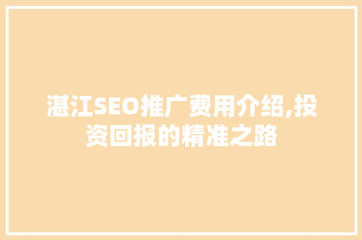 湛江SEO推广费用介绍,投资回报的精准之路