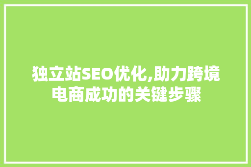 独立站SEO优化,助力跨境电商成功的关键步骤