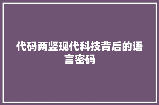 代码两竖现代科技背后的语言密码