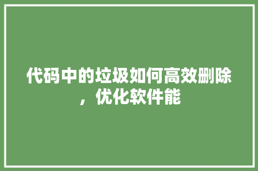 代码中的垃圾如何高效删除，优化软件能
