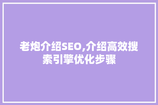 老炮介绍SEO,介绍高效搜索引擎优化步骤  第1张