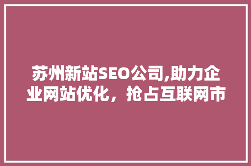 苏州新站SEO公司,助力企业网站优化，抢占互联网市场先机