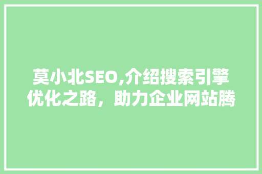 莫小北SEO,介绍搜索引擎优化之路，助力企业网站腾飞