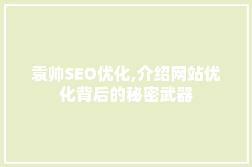 袁帅SEO优化,介绍网站优化背后的秘密武器
