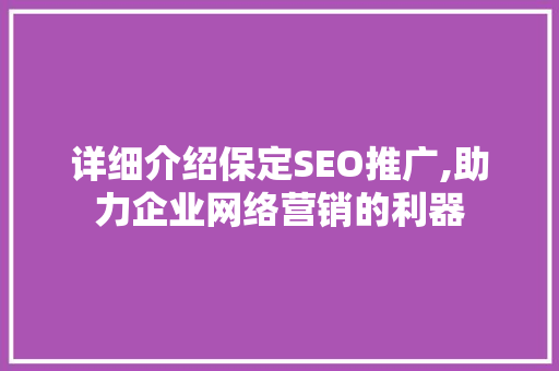 详细介绍保定SEO推广,助力企业网络营销的利器