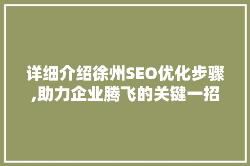 详细介绍徐州SEO优化步骤,助力企业腾飞的关键一招