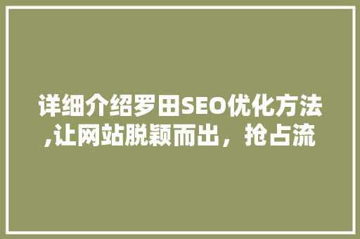 详细介绍罗田SEO优化方法,让网站脱颖而出，抢占流量高地