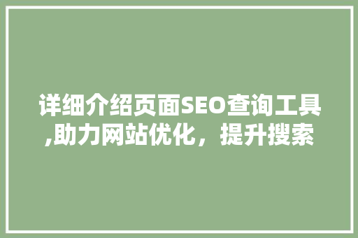 详细介绍页面SEO查询工具,助力网站优化，提升搜索引擎排名