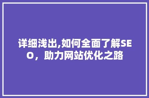 详细浅出,如何全面了解SEO，助力网站优化之路