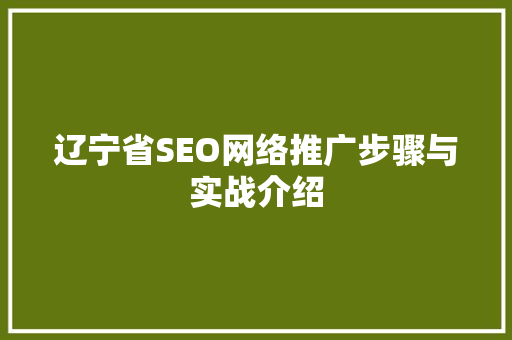 辽宁省SEO网络推广步骤与实战介绍