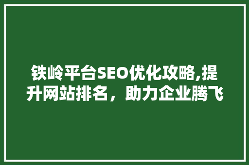 铁岭平台SEO优化攻略,提升网站排名，助力企业腾飞