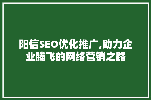 阳信SEO优化推广,助力企业腾飞的网络营销之路