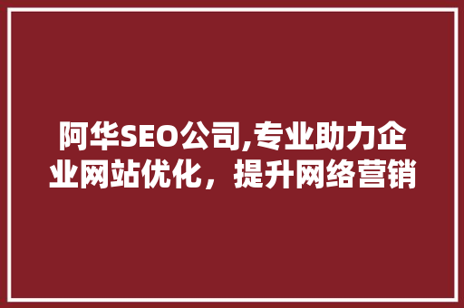 阿华SEO公司,专业助力企业网站优化，提升网络营销效果