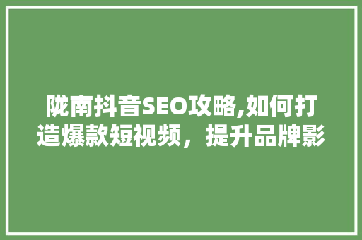 陇南抖音SEO攻略,如何打造爆款短视频，提升品牌影响力
