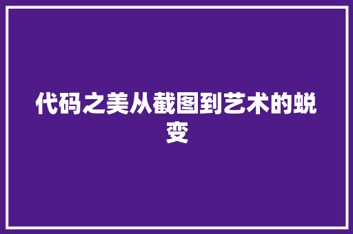 代码之美从截图到艺术的蜕变