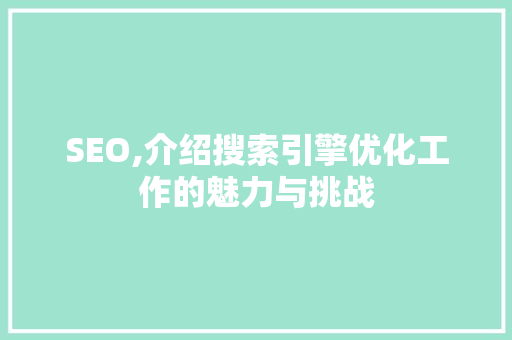 SEO,介绍搜索引擎优化工作的魅力与挑战  第1张