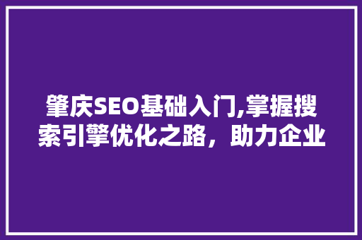 肇庆SEO基础入门,掌握搜索引擎优化之路，助力企业网络营销