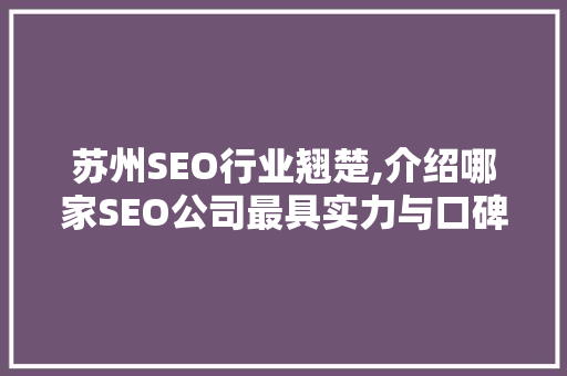 苏州SEO行业翘楚,介绍哪家SEO公司最具实力与口碑