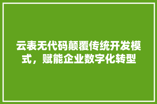 云表无代码颠覆传统开发模式，赋能企业数字化转型