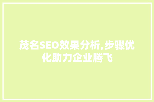 茂名SEO效果分析,步骤优化助力企业腾飞