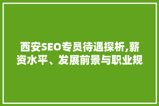 西安SEO专员待遇探析,薪资水平、发展前景与职业规划