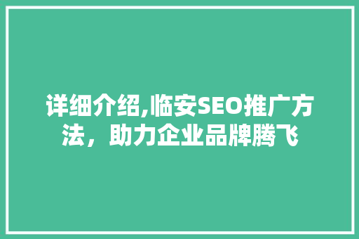详细介绍,临安SEO推广方法，助力企业品牌腾飞  第1张