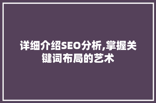 详细介绍SEO分析,掌握关键词布局的艺术
