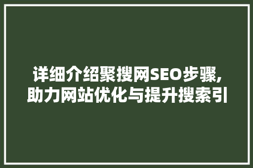 详细介绍聚搜网SEO步骤,助力网站优化与提升搜索引擎排名