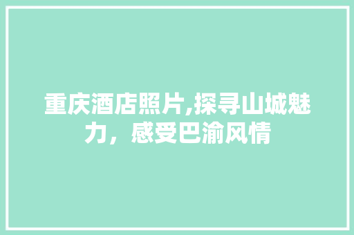 重庆酒店照片,探寻山城魅力，感受巴渝风情