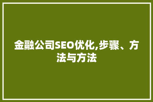 金融公司SEO优化,步骤、方法与方法