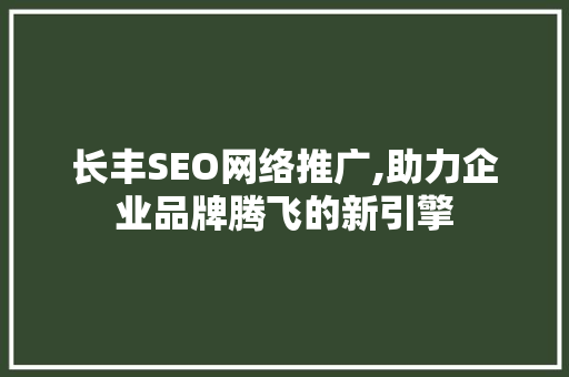 长丰SEO网络推广,助力企业品牌腾飞的新引擎  第1张