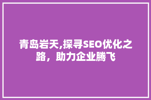 青岛岩天,探寻SEO优化之路，助力企业腾飞