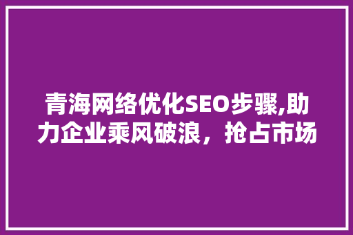 青海网络优化SEO步骤,助力企业乘风破浪，抢占市场制高点