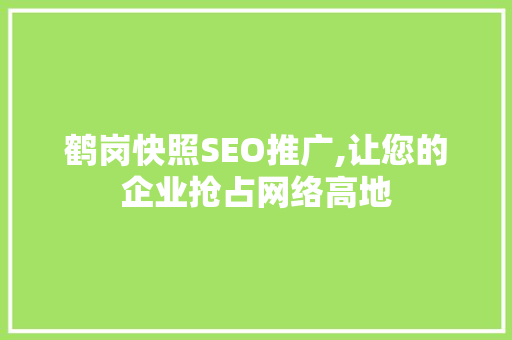 鹤岗快照SEO推广,让您的企业抢占网络高地  第1张