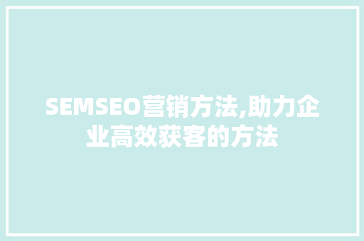SEMSEO营销方法,助力企业高效获客的方法