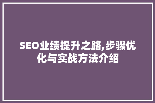 SEO业绩提升之路,步骤优化与实战方法介绍