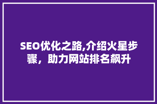 SEO优化之路,介绍火星步骤，助力网站排名飙升
