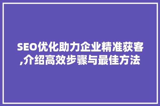 SEO优化助力企业精准获客,介绍高效步骤与最佳方法