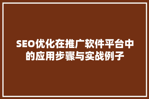 SEO优化在推广软件平台中的应用步骤与实战例子