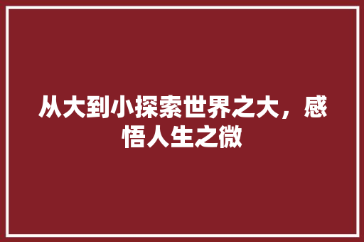 从大到小探索世界之大，感悟人生之微