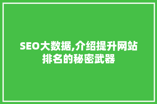 SEO大数据,介绍提升网站排名的秘密武器