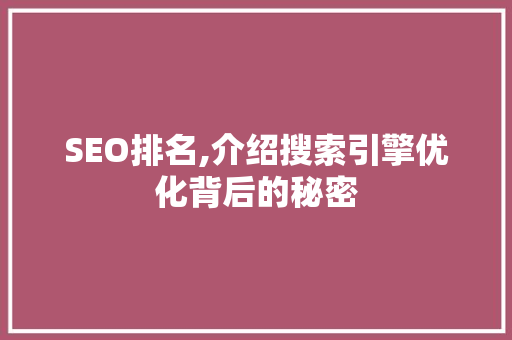 SEO排名,介绍搜索引擎优化背后的秘密
