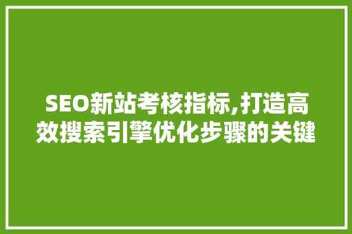 SEO新站考核指标,打造高效搜索引擎优化步骤的关键