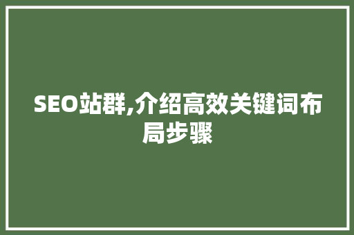SEO站群,介绍高效关键词布局步骤