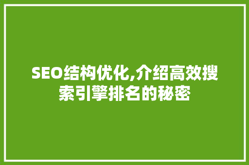SEO结构优化,介绍高效搜索引擎排名的秘密