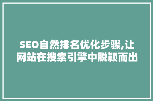 SEO自然排名优化步骤,让网站在搜索引擎中脱颖而出