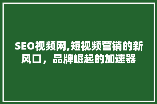 SEO视频网,短视频营销的新风口，品牌崛起的加速器