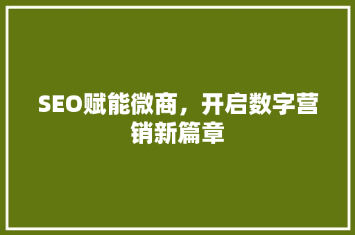 SEO赋能微商，开启数字营销新篇章