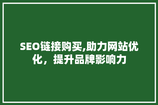 SEO链接购买,助力网站优化，提升品牌影响力  第1张